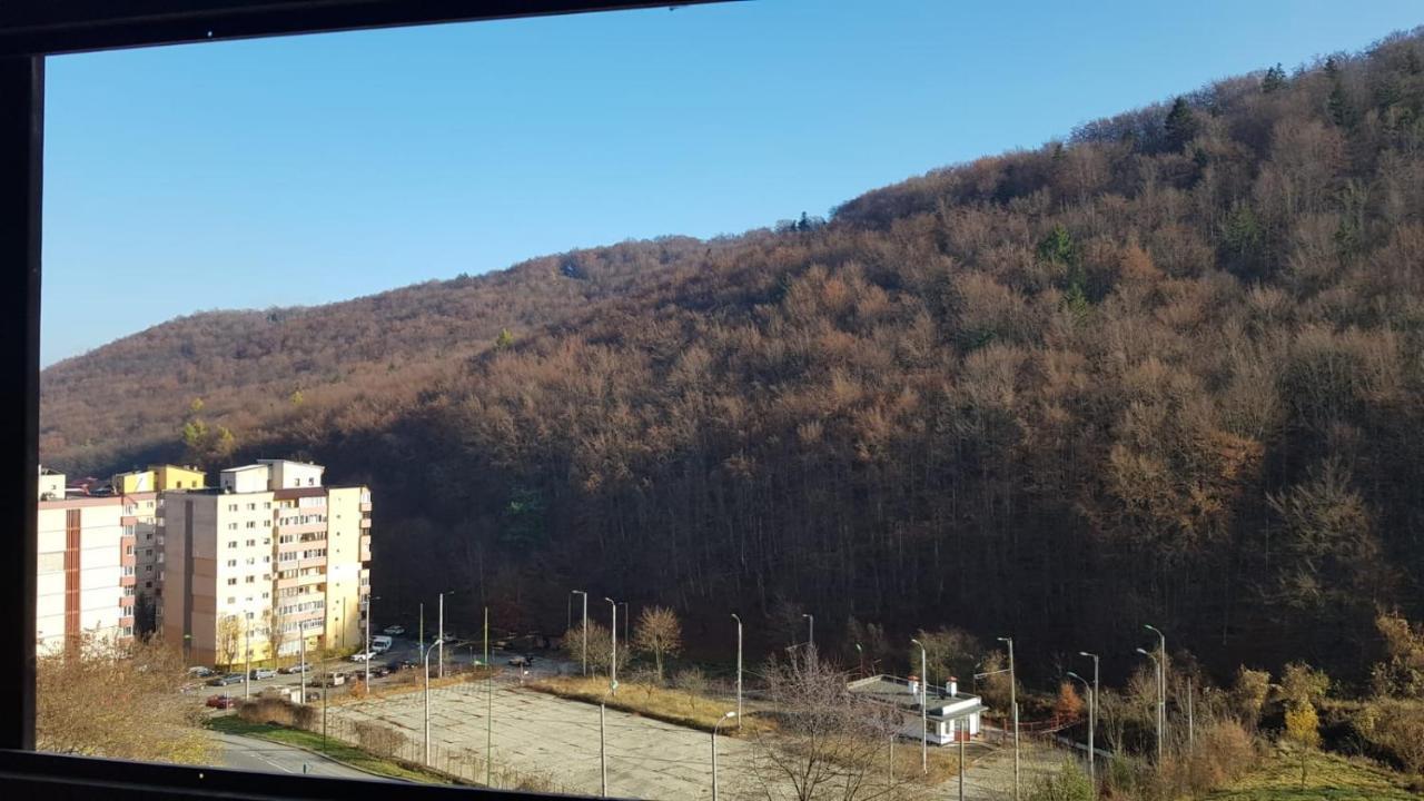 Apartmentsbnb828 Брашов Екстериор снимка